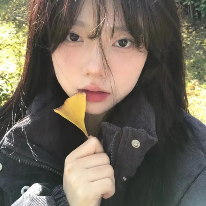 光影流情
